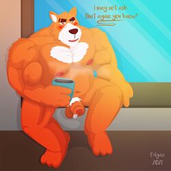 1:1 2021 absurd_res anthro balls belly beverage blush canid canine canis coffee domestic_dog edgaa english_text fur furry genitals hi_res humanoid_hands male mammal musclegut navel orange_body orange_fur overweight overweight_anthro overweight_male penis pubes rorik_(the_human_heart) sitting solo text the_human_heart_(game)