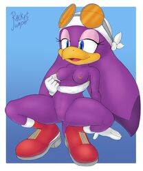 avian beak bird breasts censored clitoris eyelashes female glasses hair looking_down nipple_piercing nude piercing purple_body purple_hair pussy r0cketjumper smile sonic_(series) sonic_riders swallow swallow_(bird) wave_the_swallow