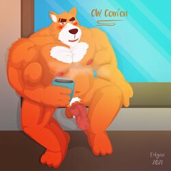 1:1 2021 absurd_res anthro balls belly beverage blush canid canine canis coffee domestic_dog edgaa english_text erection fur furry genitals hi_res humanoid_hands male mammal musclegut navel orange_body orange_fur overweight overweight_anthro overweight_male penis pubes rorik_(the_human_heart) sitting solo text the_human_heart_(game)