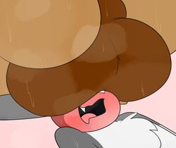 2021 ambiguous_species anthro anthro_on_anthro ass ball_tuft balls balls_on_face big_balls big_butt blush bodily_fluids brown_balls brown_body brown_fur brown_perineum chest_tuft drooling faceless_anthro faceless_male facesitting fangs fur genitals gradient_background grey_body grey_fur hare huge_balls huge_butt lagomorph leporid looking_pleasured lying male male/male male_on_bottom male_on_top mammal meme mr_rottson musk nude on_back on_bottom on_top open_mouth perineum pink_background pink_nose rotto_(mrrottson) saliva simple_background smile sweat sweaty_balls sweaty_genitalia tan_body tan_fur these_aren't_my_glasses tuft white_body white_fur