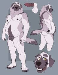 2022 animal_genitalia anthro balls canid canine canis domestic_dog erection fur genitals grey_body grey_fur headshot_portrait hi_res hybrid_genitalia hybrid_penis knot knotted_penis labradorszn looking_at_viewer male male_anthro mammal mastiff model_sheet molosser nipples nude nude_anthro nude_male open_mouth open_smile overweight overweight_anthro overweight_male penis pink_penis portrait sheath side_view smile solo spanish_mastiff standing tail teeth tongue tongue_out yellow_eyes