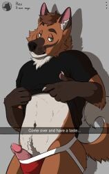 2021 anthro athletic athletic_anthro athletic_male bodily_fluids brown_body brown_fur brown_hair canid canine clothed clothing clothing_lift countershade_face countershade_torso countershading dripping english_text erection fur genital_fluids genitals green_eyes grey_body grey_fur hair hi_res humanoid_genitalia humanoid_penis labradorszn looking_at_viewer male male_anthro mammal maned_wolf partially_clothed partially_clothed_anthro partially_clothed_male penis pink_penis precum precum_drip rex_(redrockrex) shirt shirt_lift snapchat solo standing tail teeth text topwear vein veiny_penis