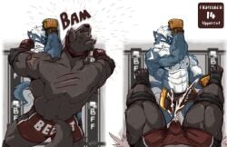 abs anthro aroused aroused_by_another aroused_male ass back_muscles barazoku biceps big_bulge big_muscles big_pecs black_bottomwear black_clothing black_elbow_pads black_footwear black_gloves black_handwear black_knee_pads black_shoes black_shorts blue_body blue_eyes blue_fur bodily_fluids bottomwear boxing boxing_attire boxing_gloves boxing_shorts boxing_trunks brown_body brown_fur bulge canid canine canis clenched_teeth clothing competition cum cum_from_penis cum_in_clothing cum_in_pants cum_on_own_penis cum_on_penis cum_on_self cum_spurt cum_through_clothing cum_through_pants cumshot defeat defeated detailed_bulge domestic_dog dominant dominant_anthro dominant_male domination/submission duo ejaculating_on_self ejaculation elbow_pads english_text erection erection_under_clothing erection_under_shorts face_punch fist footwear fur genital_fluids genital_outline genitals gloves grin grinning_at_partner handwear knee_pads knockout male male/male mammal manly masochism mohawk muscular muscular_anthro muscular_arms muscular_male muscular_thighs naruever nipples orange_bottomwear orange_clothing orange_gloves orange_handwear orange_shorts orgasm pecs penis penis_outline punch raised_arm rear_view red_bottomwear red_clothing red_gloves red_handwear red_shorts scratches secretly_horny secretly_loves_it sexual_competition sexual_fight shorts smile smirk smirking_at_another smirking_at_partner smirking_dom sport standing submissive submissive_anthro submissive_male tail teeth tenting text thick_arms thick_thighs tough_guy uppercut vein veiny_muscles wet wet_clothing white_body white_fur wolf