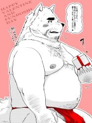 2026 anthro asian_clothing barely_visible_genitalia barely_visible_penis belly canid canine canis clothing dialogue domestic_dog east_asian_clothing fundoshi fundoshi's_day genitals hi_res holidays japanese_clothing japanese_text kemono male mammal mature_male moobs nipples overweight overweight_male penis red_clothing red_fundoshi red_underwear shintatokoro sitting solo text underwear valentine's_day