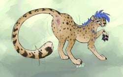 andromorph animal_genitalia animal_vulva anus ass blue_body blue_fur cheetah claws felid feline feline_genitalia feline_vulva feral fur genitals green_eyes hi_res in_heat intersex inviting looking_at_viewer mammal markings multicolored_body multicolored_fur nude paws pink_anus pink_vulva presenting presenting_anus presenting_hindquarters presenting_vulva queenkoko simple_background solo spots spotted_body spotted_fur tail vulva wide_hips