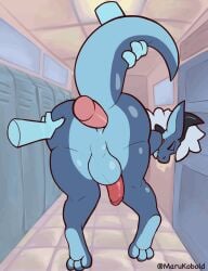 2026 anal anal_sex animated balls blue_body detailed_background duo erection genitals hair hand_on_butt hi_res horn kobold looking_pleasured male male/male male_penetrated male_penetrating male_penetrating_male marux_the_kobold penetration penis raised_tail scalie sex tail white_hair