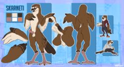 1boy absurd_res anisodactyl anthro anus avian backsack balls beak bird brown_feathers clothed clothing columbid feathers hi_res humanoid_penis male male_only model_sheet nude penis pigeon skarneti skully skullysilverwolf solo solo_male tail_feathers