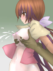 acolyte breast_grab breast_squeeze breasts brown_eyes brown_hair highres lactation long_hair ragnarok_online saibashi