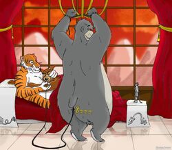 baloo bondage disney don_karnage male_only no_humans shere_khan tagme talespin