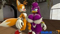 3d avian beak bird blue_eyes breasts charliedcr clothing duo eyelashes female fox fur gloves imminent_sex larger_female male purple_body size_difference smaller_male smile sonic_(series) tails wave_the_swallow white_body