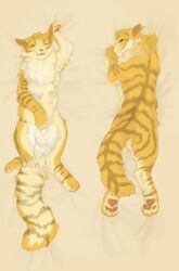 balls body_pillow domestic_cat feline feral fluffy furry_belly laying_down lionblaze_(warriors) orange_eyes orange_fur pawpads paws plumbelly sheath warriors_(cats)