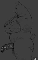 Cat Ears Rule 34 Image