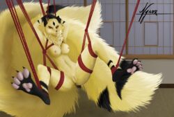 anthro bondage bondage breasts fangs feline female fur furry furry_tail inuyasha kirara looking_at_viewer multi_tail nipples nude nude_female pink_pawpads pussy red_eyes rope rope_bondage smile smirk solo spread_legs spreading toe_claws yellow_fur