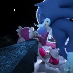 2026 2boys 3d anal animal_genitalia animated big_dom_small_sub chip_(sonic) erection fizzthetiger gay male male_only night outdoors penis sega size_difference sonic_(series) sonic_the_hedgehog sonic_the_werehog sonic_unleashed tagme video video_games yaoi