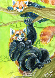 2026 Rule 34 Image