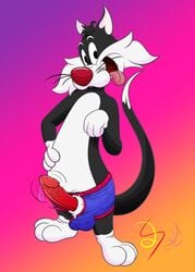 absurd_res anthro arousal blep bodily_fluids clothing domestic_cat erection felid feline felis genital_fluids genitals hi_res invalid_tag lobofeo looney_tunes male male_only mammal paws penis precum smooth_fur solo sylvester tongue tongue_out underwear warner_brothers