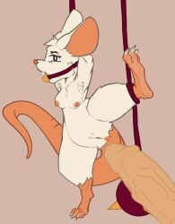 Mina (Mina The Hollower) Rule 34 Image