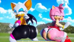 2girls 3d 3d_(artwork) amy_rose angry angry_face animated annoyed annoyed_expression anthro ass ass_focus bat bat_wings big_ass big_breasts big_butt blinking boombox bottom_heavy breasts bubble_ass bubble_butt chiropteran clothing curvaceous curvy curvy_figure dat_ass dirty_dancing dumptruck_ass female female_only fully_clothed furry gold_boombox_(prevence) green_eyes hedgehog huge_ass huge_breasts jiggle jiggling_ass jiggling_breasts legwear loop mostly_clothed panties prevence rolling_eyes rouge_the_bat seductive seductive_dance sega sexy_dance short_skirt skirt sonic_(series) sonic_the_hedgehog_(series) sound stockings tagme thick_thighs twerk_hypnosis twerking video voluptuous voluptuous_female wide_hips wings