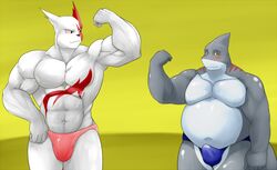 2014 abs anthro belly bicep_curl big_belly big_bulge blush bulge clothed clothing colored duo erection erection_under_clothing fin fish flexing flexing_bicep frown fur furry_only geng gills grey_body grey_scales head_fin lamnid lamniform looking_at_another looking_away mako_shark male marine markings musclegut muscular muscular_anthro muscular_arms muscular_male navel nintendo no_humans overweight overweight_anthro overweight_male pecs pokémon_(species) pokemon pokemon_(species) raised_arm red_markings red_sclera scales shaded shark simple_background smile speedo swimwear video_games white_belly white_body white_fur yellow_eyes zangoose