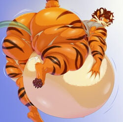 4_toes anthro artisipancake ass belly big_belly big_butt blush brown_eyes clothing feet felid fur hair hi_res huge_butt hyper hyper_belly inflation kaydex looking_back male mammal muscular muscular_anthro muscular_male navel open_mouth orange_body orange_fur pantherine solo stripes thick_thighs tiger toes torn_clothing