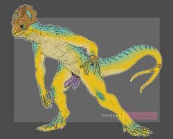 1boy 2021 blue_body conditional_dnp genitals hi_res lizard lizardman male male_only nakoo penis reptile scalie skink solo solo_male yellow_body