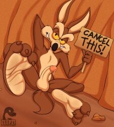 canid canine canis coyote feet feet_focus genitals hi_res looney_tunes male male_foot_fetish male_only mammal penis solo warner_brothers wile_e._coyote zp92