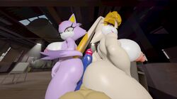 Blaze The Cat, Sega, Sonic (Series), Sonic Steroid Universe