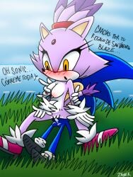 blaze_the_cat cum_inside sega sex sonaze sonic_(series) sonic_the_hedgehog sonic_the_hedgehog_(series)