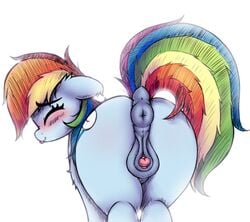 2021 animal_genitalia animal_pussy anus ass clitoris closed_eyes cutie_mark dock equid equine equine_pussy female feral friendship_is_magic genitals hasbro heavymetalbronyyeah hi_res mammal multicolored_tail my_little_pony pussy rainbow_dash_(mlp) rainbow_tail rear_view simple_background solo white_background winking_pussy