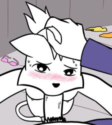 el gato de alan (alanecuatro) from alanecuatro