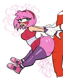 amy rose from sonic (series) by lovetopullmicke