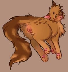 anatomically_correct anus blush body_blush detailed female feral frecklewish_(thunderclan) genitals gullswoop looking_at_viewer looking_back pawpads paws plain_background presenting solo vulva vulva_blush warriors_(book_series)