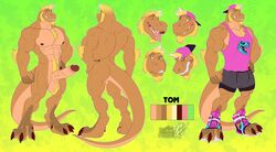 anthro backwards_baseball_cap balls baseball_cap bottomwear clothing dinosaur erection furgonomics genitals hat headgear headwear hi_res humanoid_genitalia humanoid_penis male model_sheet muscular muscular_anthro muscular_male penis reptile scalie shorts solo text theropod tom_(summontheelectorcounts) tyrannosaurid tyrannosaurus tyrannosaurus_rex url vallhund