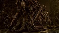 1boy 1girls 3d alien alien_(franchise) alien_boy alien_girl anal anal_penetration anal_sex animated ass balls blender blender_(software) doggy_style excella exoskeleton feet female female_xenomorph looking_over_shoulder male male/female male_xenomorph monster_girl no_humans oc penis sex sharp_teeth sound straight straight_sex thekidxeno toes video watermark xenomorph