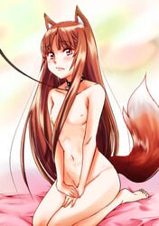 1girls animal_ears bad_hands barefoot bed_sheet blush brown_hair collar covering covering_crotch cute_fang flat_chest holo leash lips long_hair nude nude_cover red_eyes sakayama_shinta seiza sitting spice_and_wolf tail toe_scrunch wolf_ears