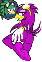 anthro anus ass avian beak blue_eyes blush eyelashes foot_ninja15 green_body green_feathers jet_the_hawk jetave purple_body purple_feathers purple_hair pussy sonic_(series) sonic_riders tail_feathers tattoo tuft wave_the_swallow