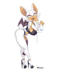 rouge the bat from sonic (series) by magnetus