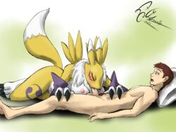 digimon (species) from digimon by dekaisen