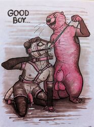 animal_genitalia anthro bondage bondage bound duo genitals hi_res leash lutrine male male/male mammal mustelid penis sheath sushiotter_(artist)