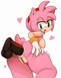 amy rose from sega by chisaha