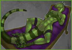 animal_genitalia anthro cloaca covered_breasts female genital_slit genitals green_body green_scales iguanid lizard narwal net_stockings reclining reptile scales scalie slit solo stripes_(marking) underbelly