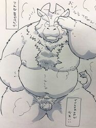 2021 anthro balls belly bovid bovine cattle closed_eyes flaccid foreskin furry genitals hi_res japanese_text kemono male male_only mammal moobs nipples overweight overweight_anthro overweight_male penis small_penis solo suishou0602 text uncut