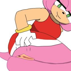 Sonic (Series) Rule 34 Image