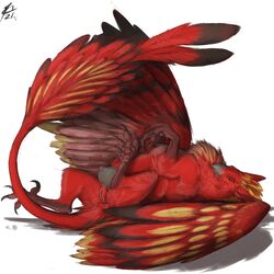 1:1 animal_genitalia avian beak claws cloaca crotchboobs feathered_wings feathers female feral genitals gryphon half-closed_eyes hi_res lizet looking_at_viewer lying mythological_avian mythology narrowed_eyes on_back red_body red_feathers rovoska smile solo talons wings