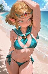Zelda (Breath Of The Wild) Rule 34 Image