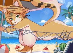 Pulchra (Zenless Zone Zero) Rule 34 Image