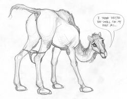 anus ass camel camelid clothed clothed_feral clothing dialogue ecmajor english_text female feral feral_only genitals greyscale hooves horizontal_pupils mammal monochrome panties panties_down pupils pussy sketch solo talking_feral text underwear underwear_down