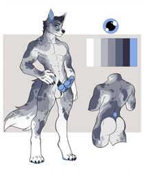 4_toes 5_fingers abs animal_genitalia animal_penis anthro ass athletic athletic_anthro athletic_male balls blue_eyes blue_penis canid canine canine_penis caromi countershade_face countershade_tail countershade_torso countershading digital_media_(artwork) erection featureless_chest feet fingers fur genitals grey_background grey_body grey_fur hand_on_hip looking_at_viewer male mammal model_sheet nude penis pubes simple_background solo spots spotted_body spotted_fur standing toes unnamed_grey_canine_(signalstar) white_body white_fur