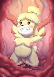 <3_eyes 2020 absurd_res accessory animal_crossing anthro bell belly birth blush bodily_fluids breasts canid canine canis chibi digital_drawing_(artwork) digital_media_(artwork) domestic_dog female flesh_wall fur genital_fluids genitals grin hair hair_accessory hairband hand_grab heart hi_res isabelle_(animal_crossing) kneeling lactation mammal milk multicolored_body multicolored_fur navel nintendo pregnant pregnant_belly pussy pussy_juice smile solo syst tears tentacle video_games yellow_body yellow_fur