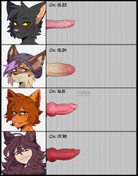 ambiguous_gender animal_genitalia animal_penis anthro canid canine canine_genitalia canine_penis canis chart chart_background comparing domestic_cat felid feline feline_genitalia feline_penis felis genitals group hainequem hi_res humanoid_genitalia humanoid_penis knot knotted_penis lock_(lockgarrison) male mammal penile_spines penis penis_chart tabby_cat vein veiny_penis wolf